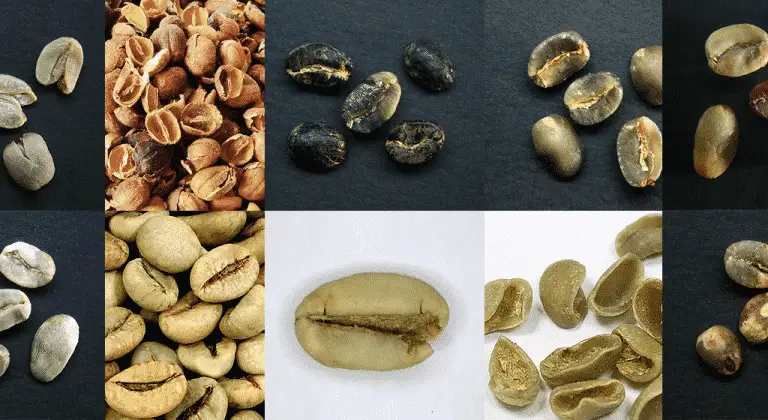 How to Spot Coffee Bean Defects and How They Change Taste